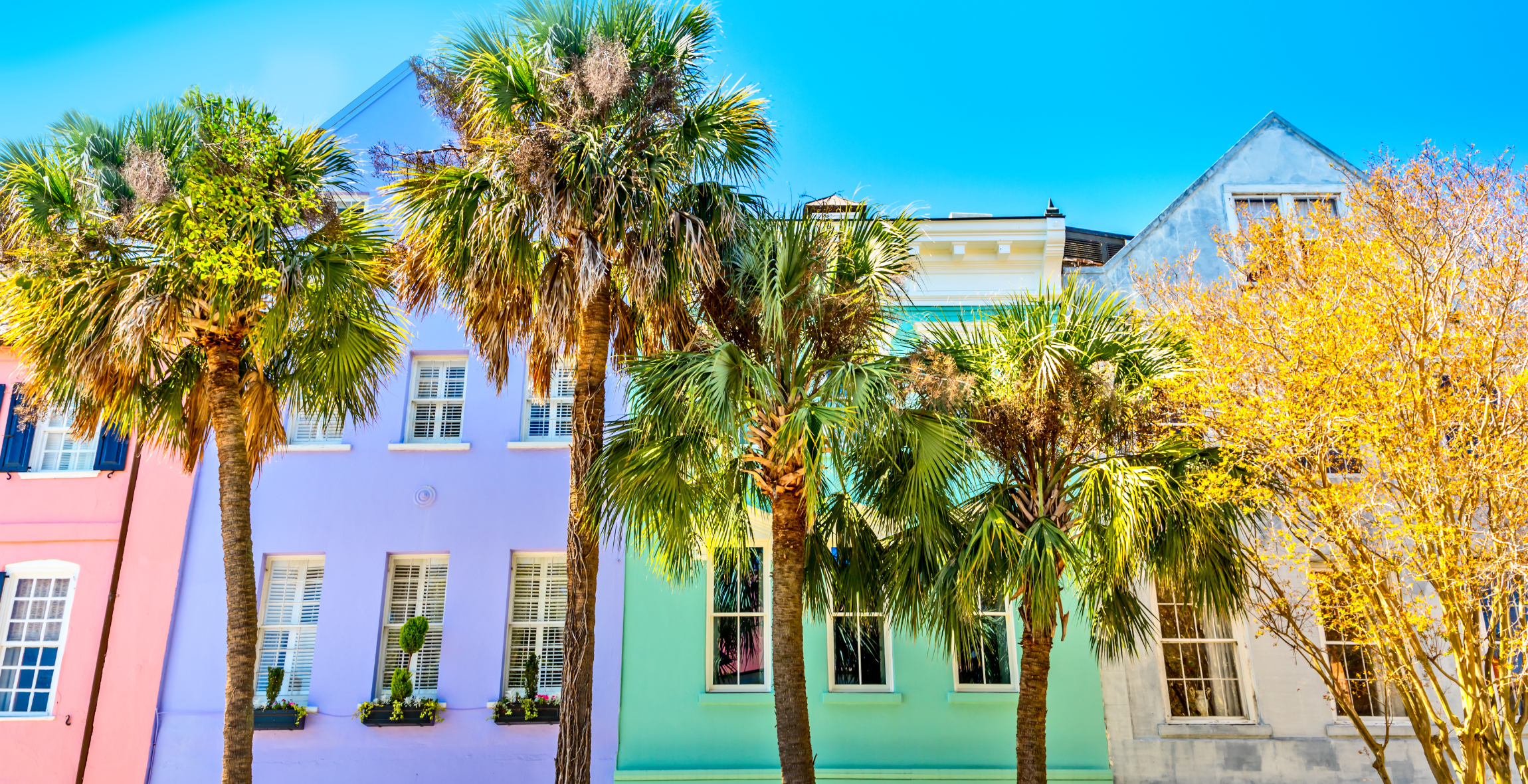 colorful houses are behind palm trees on Rainbow Row, South Carolina.