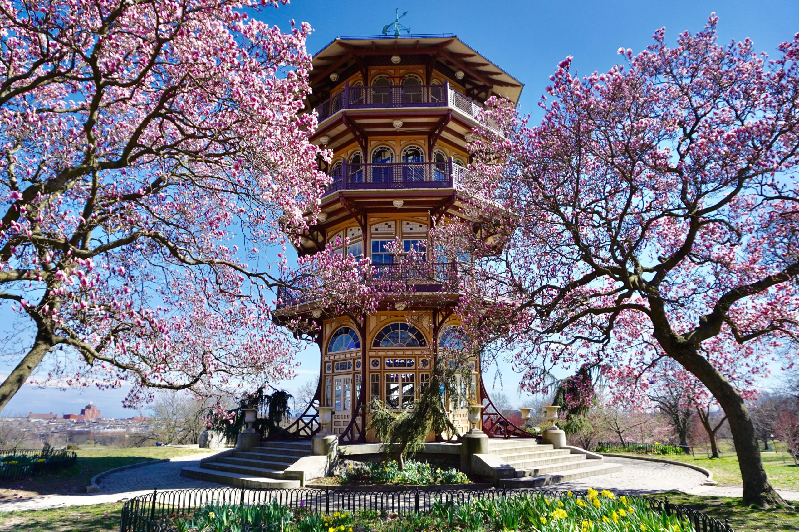 baltimore pagoda and cherry blossoms