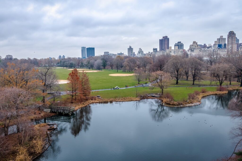 a panoramic view of central park from a new york charter bus